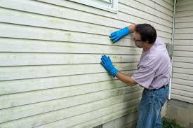 Best Wood Siding Installation  in Costa Mesa, CA